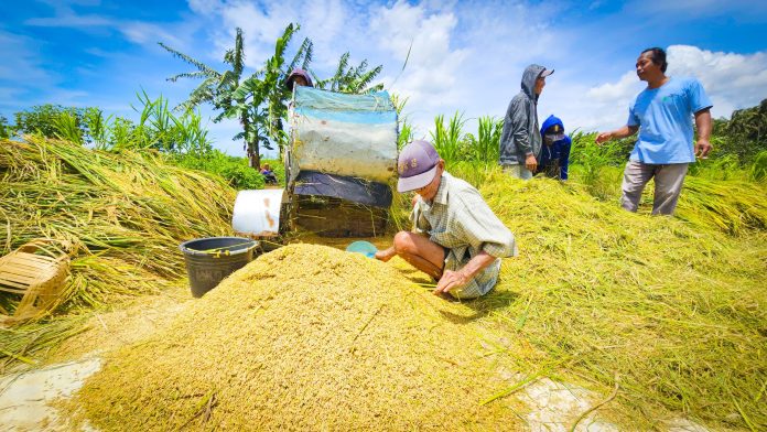 Panen Perekonomian Indonesia