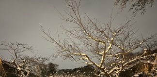 Keindahan Goryokaku Hokkaido di Musim Dingin