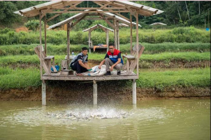 Ekonomi Indonesia