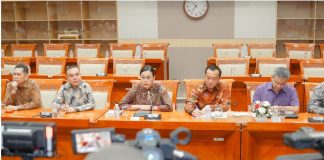 Efisiensi Anggaran, Tidak Ada PHK Tenaga Honorer di Kementerian dan Lembaga