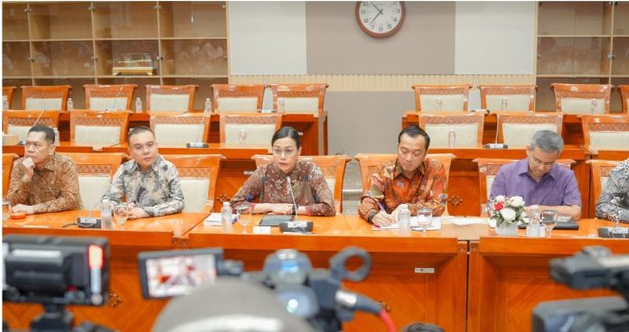 Efisiensi Anggaran, Tidak Ada PHK Tenaga Honorer di Kementerian dan Lembaga