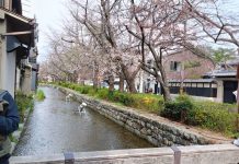 Ichigo Ichie dan Seni Menghargai Momen Kamogawa River Sungai yang Memikat Hati Kyoto Jepang