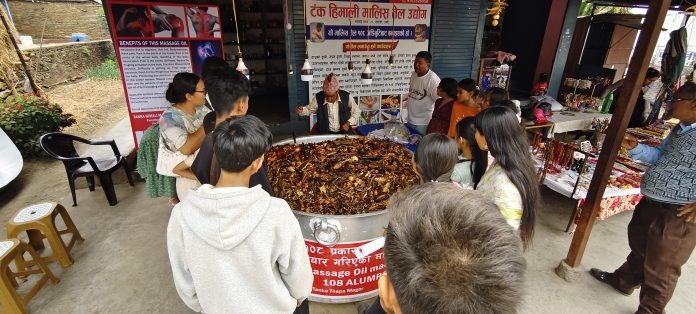 Minyak Gosok Nepal Tradisi Rempah dalam Kuali Besar