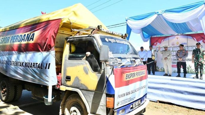 ekspor perdana jagung