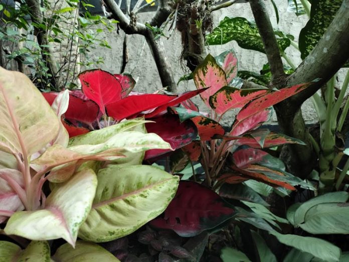 IMG20220524151031 (1)