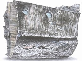 Rare-earth magnets - Neodym
