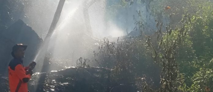Kebakaran Hutan dan Lahan