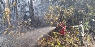 Kebakaran hutan dan lahan di Indonesia