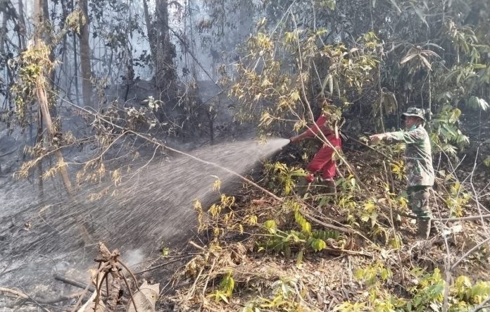 Kebakaran hutan dan lahan di Indonesia