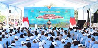 Koperasi Desa