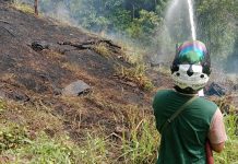 Kebakaran Hutan dan Lahan