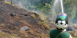 Kebakaran Hutan dan Lahan