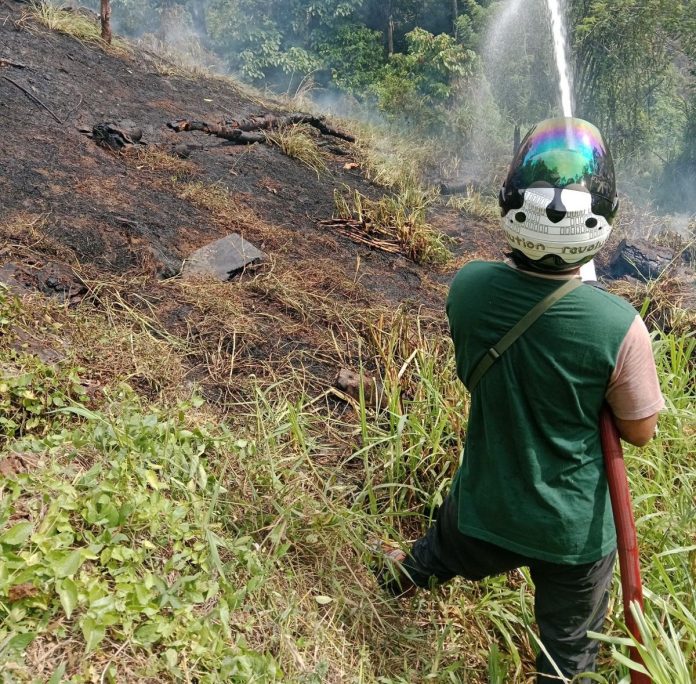 Kebakaran Hutan dan Lahan