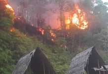 Kebakaran hutan dan lahan