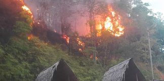 Kebakaran hutan dan lahan