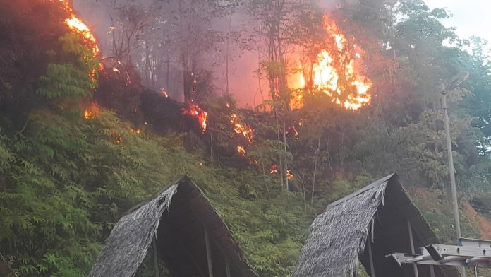 Kebakaran hutan dan lahan