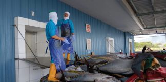 Industri pengolahan