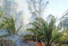 Kebakaran Hutan dan Lahan