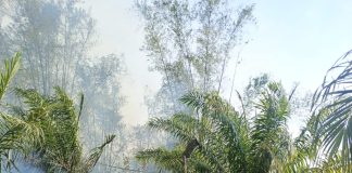 Kebakaran Hutan dan Lahan