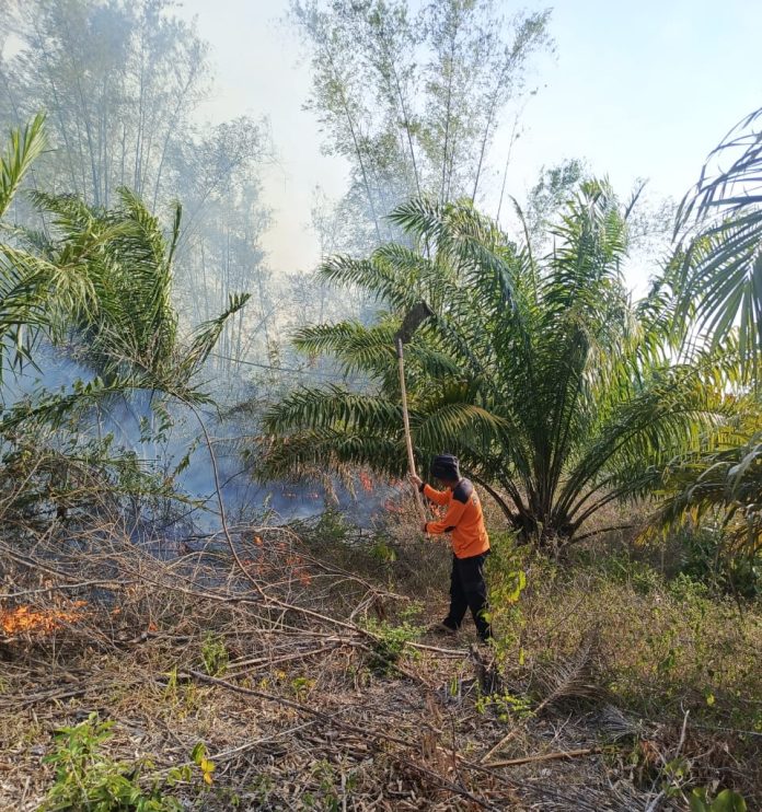 Kebakaran Hutan dan Lahan