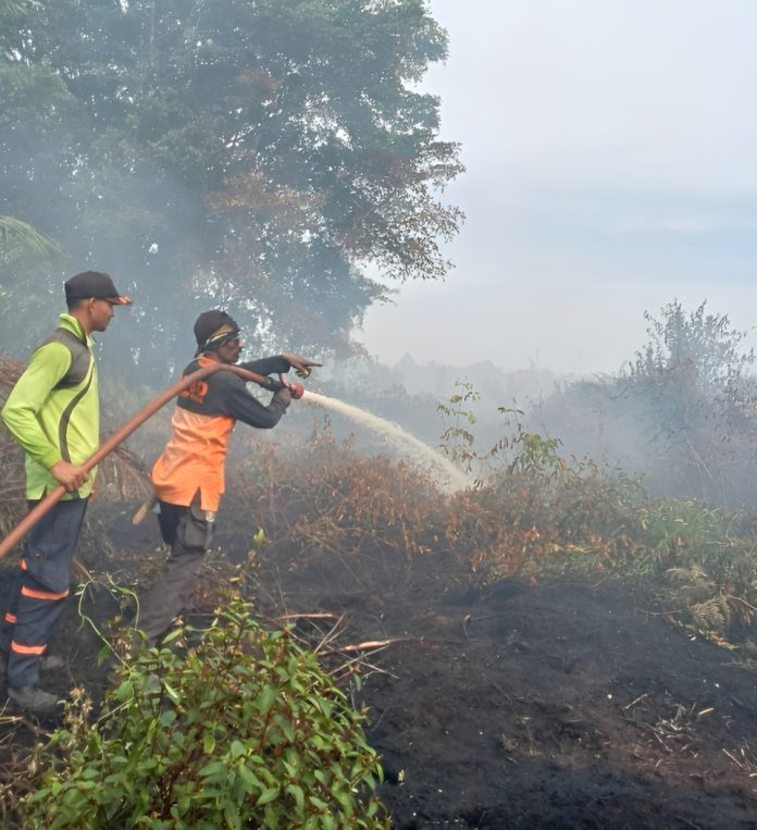 Kebakaran Hutan dan Lahan