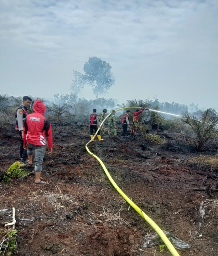 Kebakaran Hutan dan Lahan