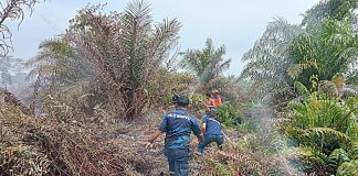 Kebakaran Hutan dan Lahan