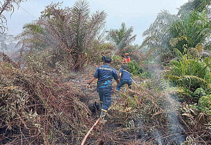 Kebakaran Hutan dan Lahan