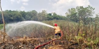 Kebakaran hutan dan lahan