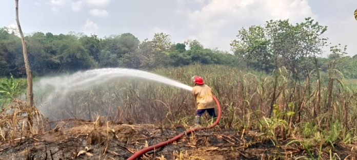 Kebakaran hutan dan lahan