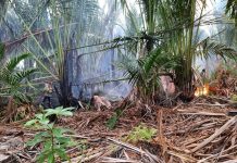 Kebakaran hutan dan lahan