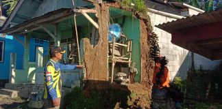 Gempa Bumi
