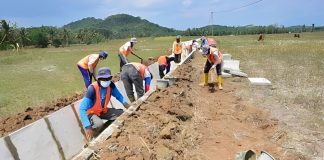 Program Padat Karya