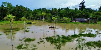 Banjir