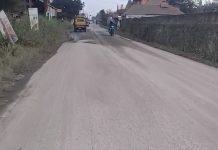 Abu vulkanik