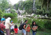 Kebun Binatang Ragunan