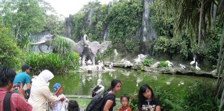 Kebun Binatang Ragunan