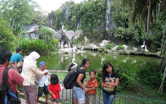 Kebun Binatang Ragunan