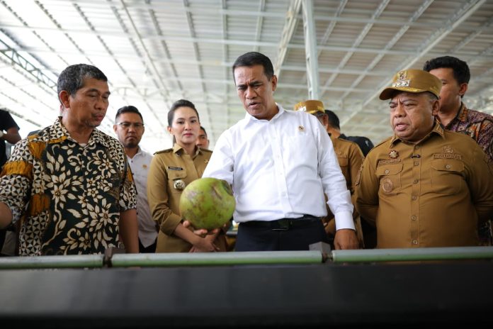 Kelapa