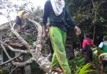 Angin Kencang
