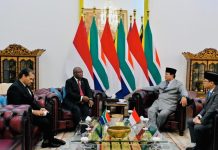 Presiden Afrika Selatan