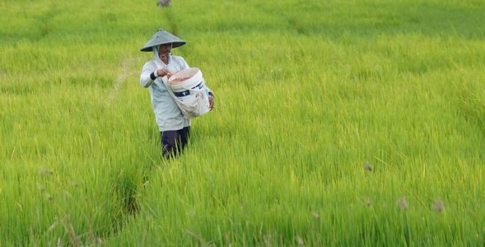 WhatsApp_Image_2025-10-16_at_20_25_471 (1)