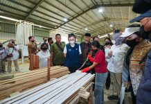 Wamen Ekraf Dorong Penguatan Kapasitas Daerah untuk Wujudkan Ekonomi Restoratif dan Berkelanjutan