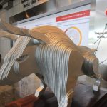 IHSG Menguat 0,26% ke 8.568,14 Sejumlah Kabar Penting Jadi Sentimen Positif