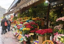 Penjual Bunga di Çankaya, Ankara: Keindahan di Tengah Kota Modern