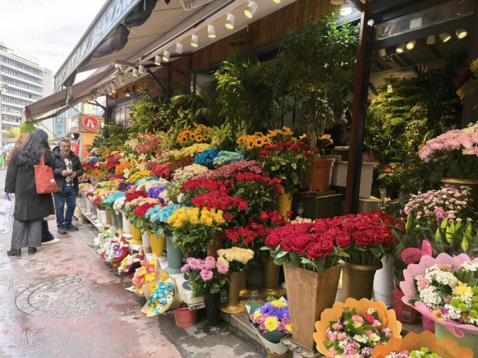 6b9767ed-4d3d-426e-a71d-7c56bb5a35d1 (1)