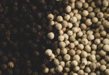 Indonesia Raih Penghargaan Ekspor Rempah Bernilai Tambah di Ajang Internasional Lada