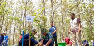 Penanaman bibit pohon