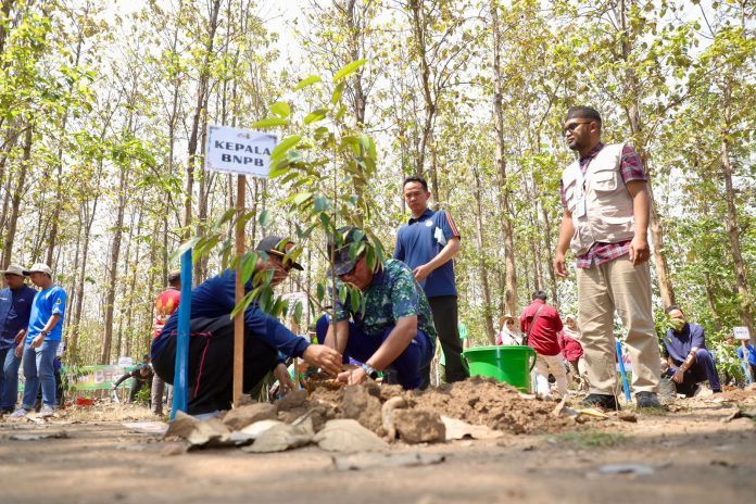 Penanaman bibit pohon