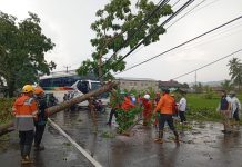 Cuaca Ekstrem Landa Sejumlah Daerah, BNPB Laporkan Dampak dan Penanganan Bencana di Tanah Air Angin Kencang